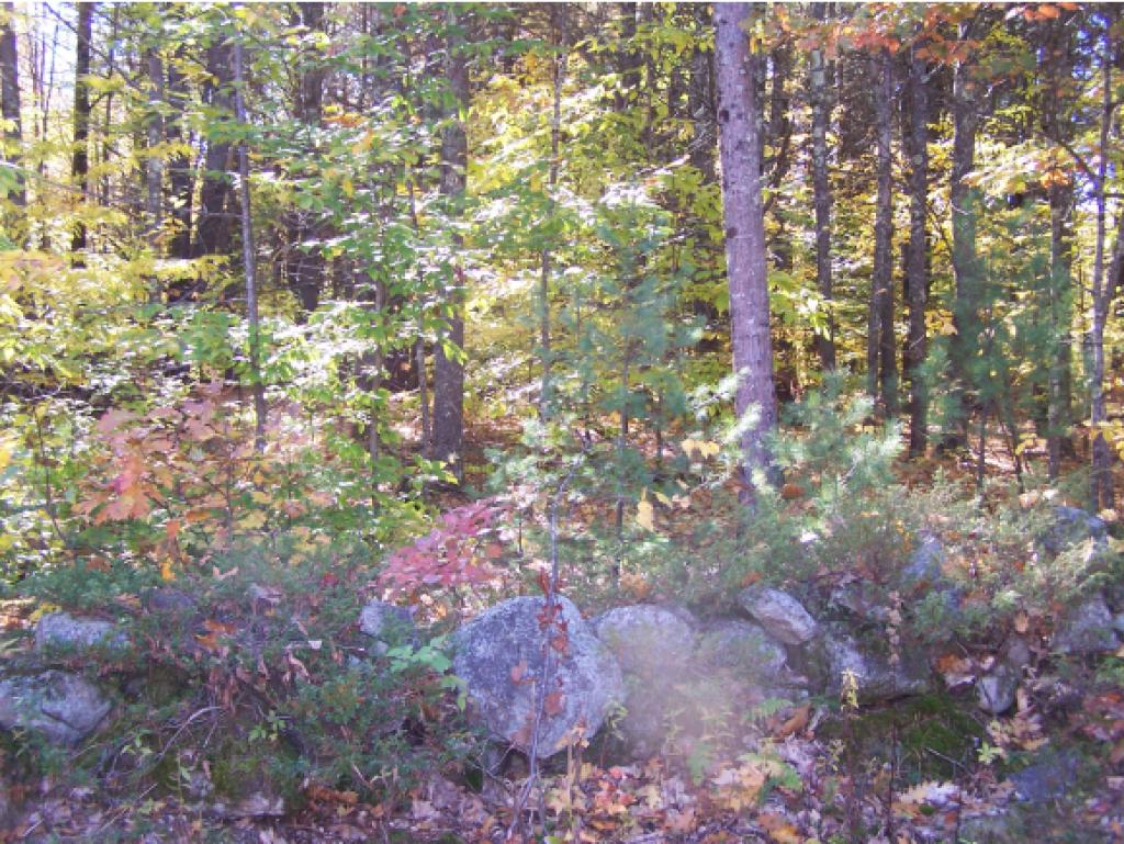 00 Powder Mill Road, Alton, NH 03809