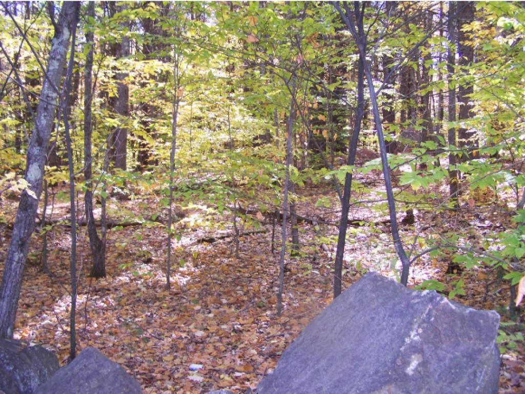 00 Powder Mill Road, Alton, NH 03809