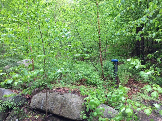 137 Alton Shores Rd, Alton, NH 03810