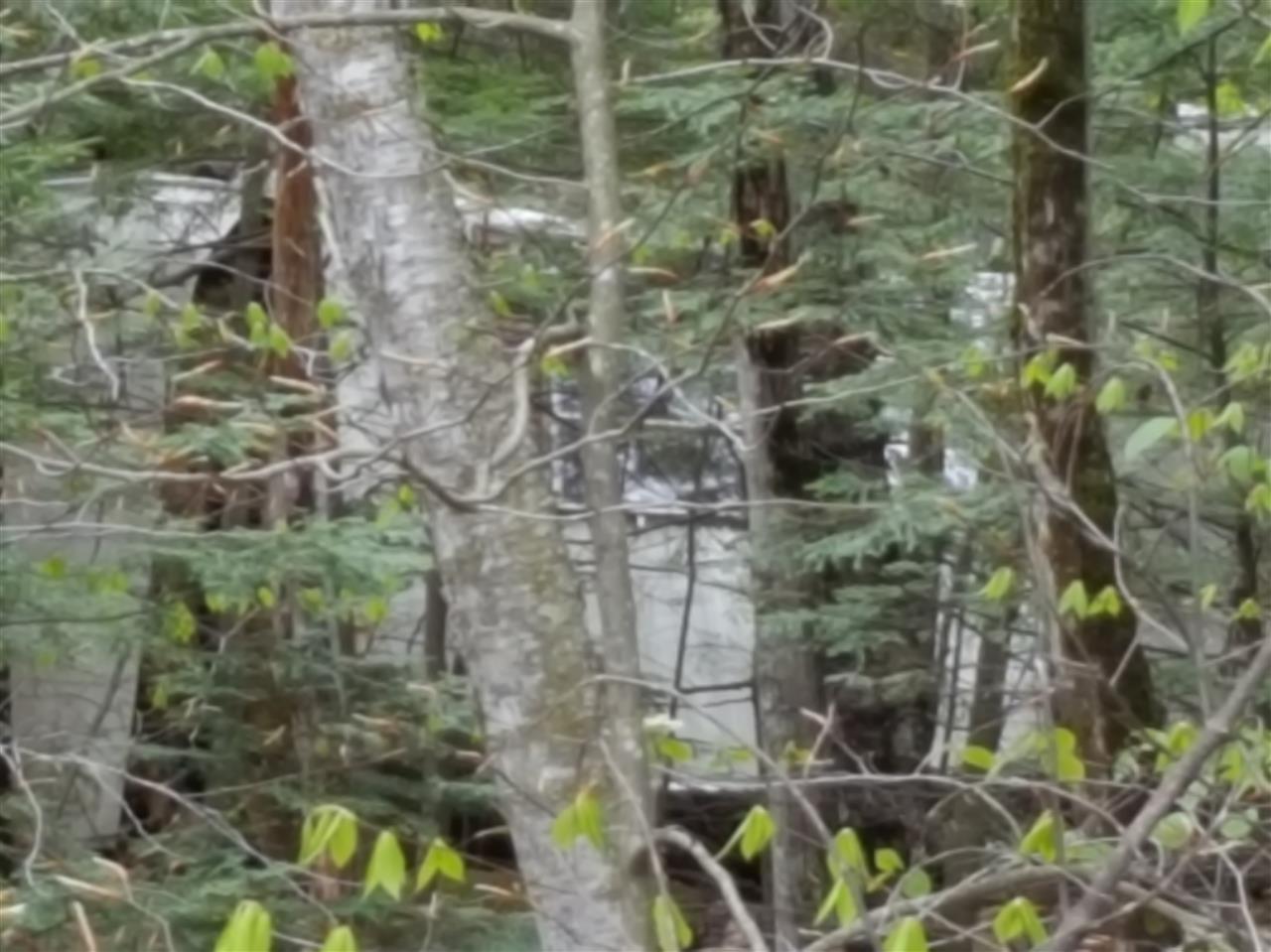 327 Ossipee Mountain Road, Ossipee, NH 03814