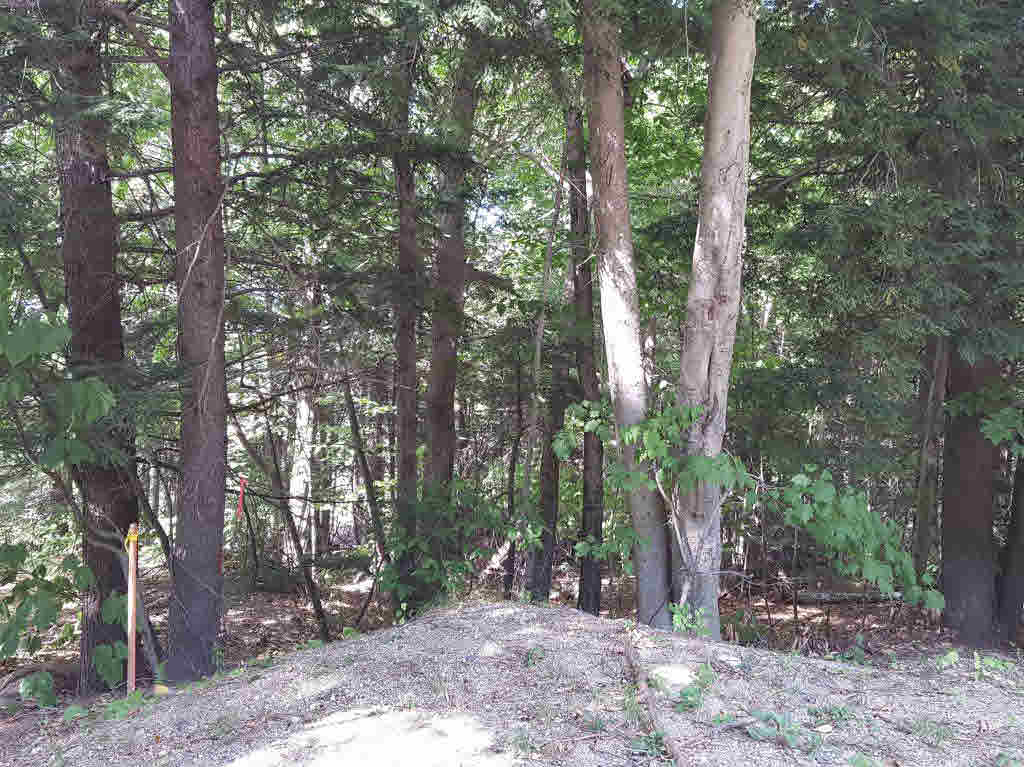 30 Knox Mountain Rd, Ossipee, NH 03814