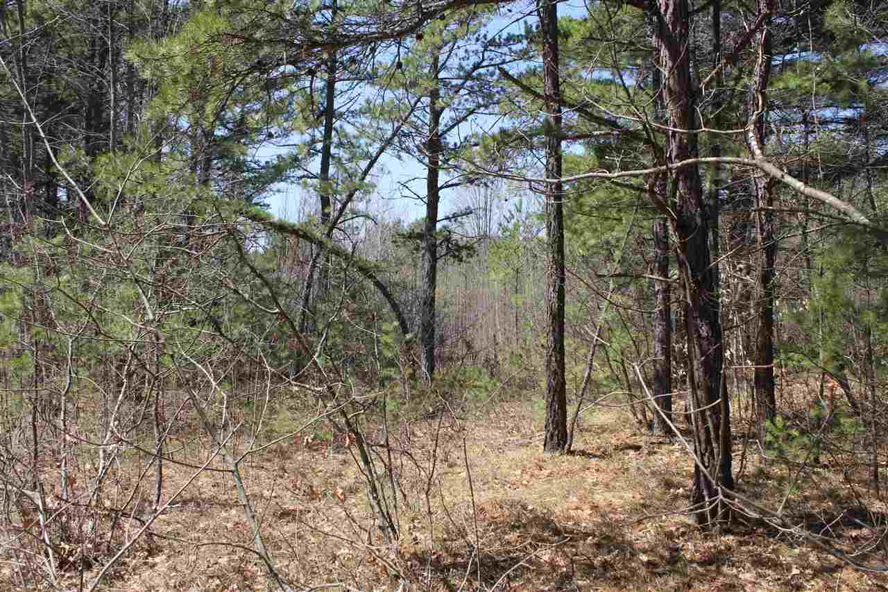 19 Deer Cove Road, Ossipee, NH 03814