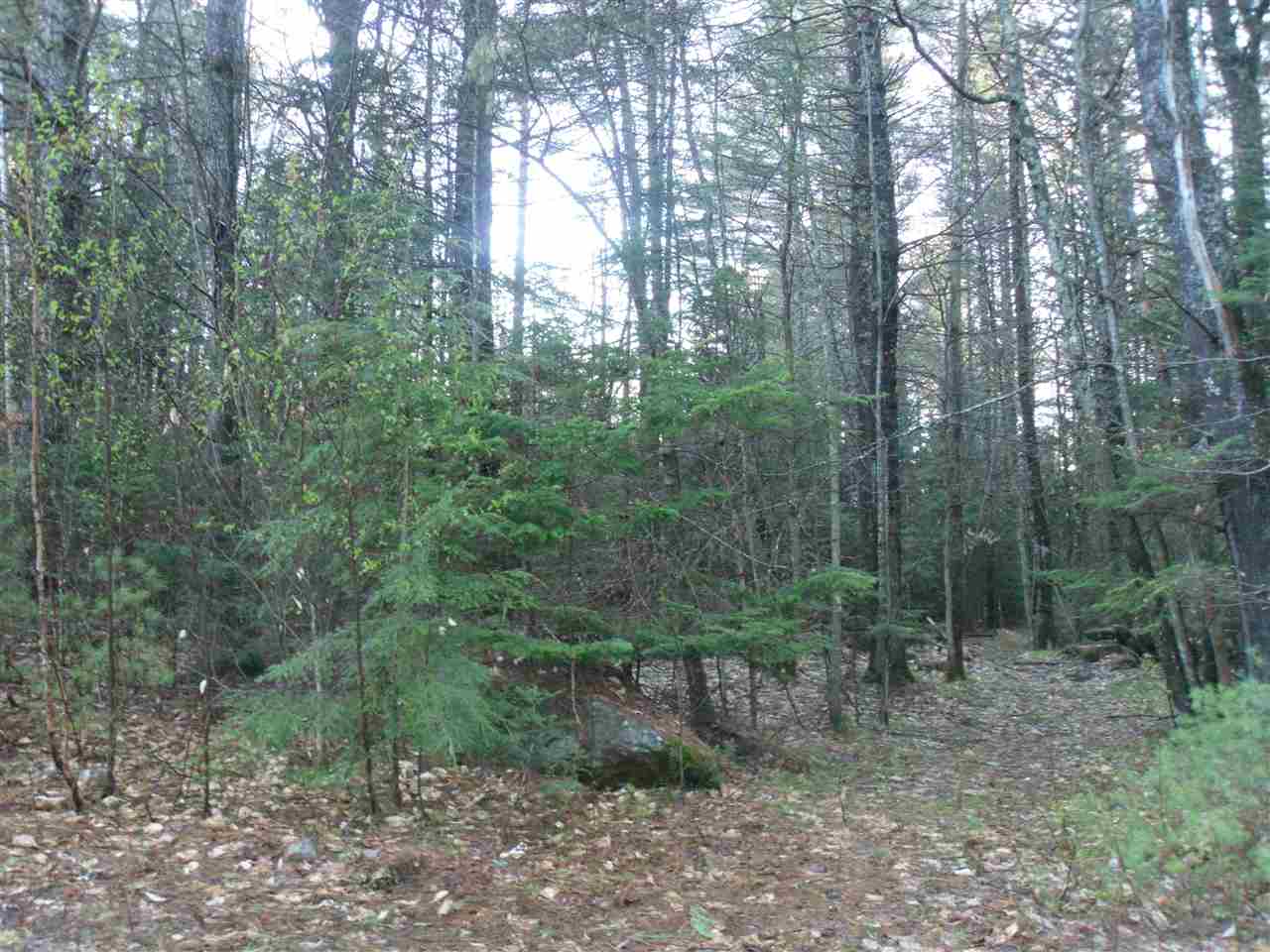 00 Old Woods Rd, Tuftonboro, NH 03816