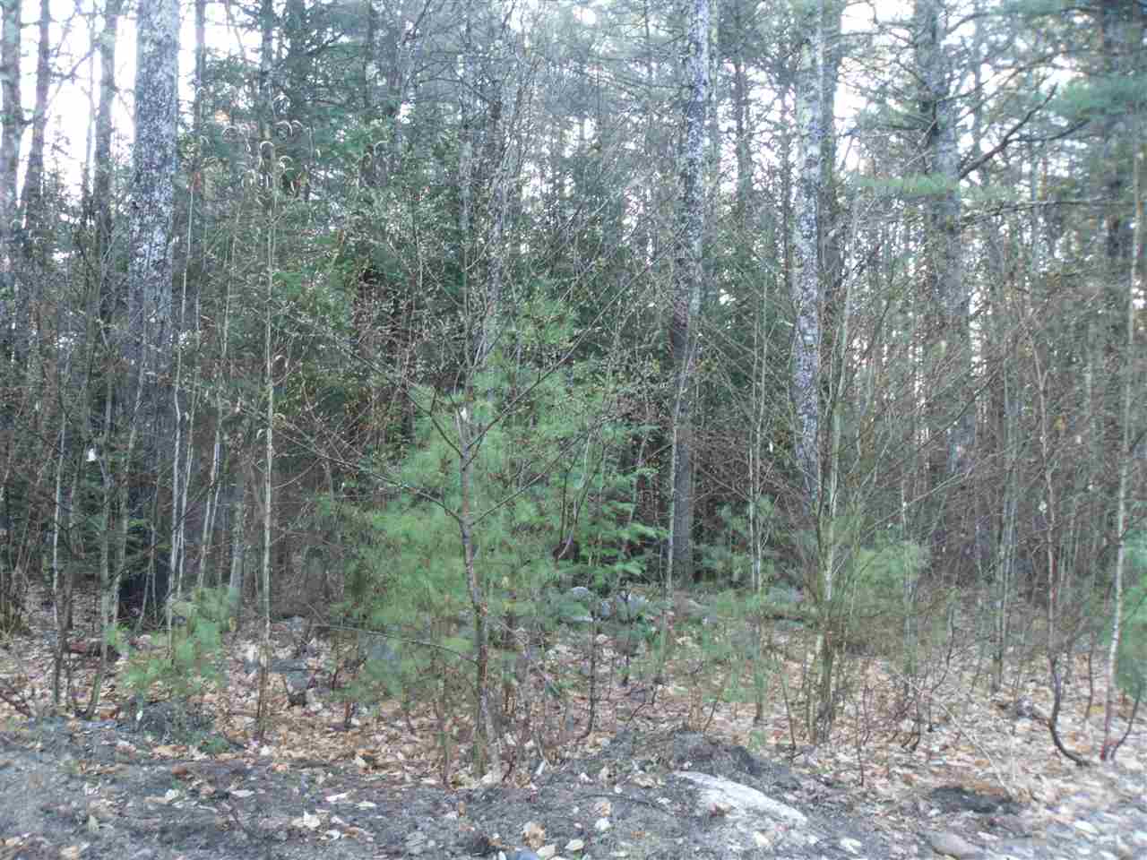 00 Old Woods Rd, Tuftonboro, NH 03816