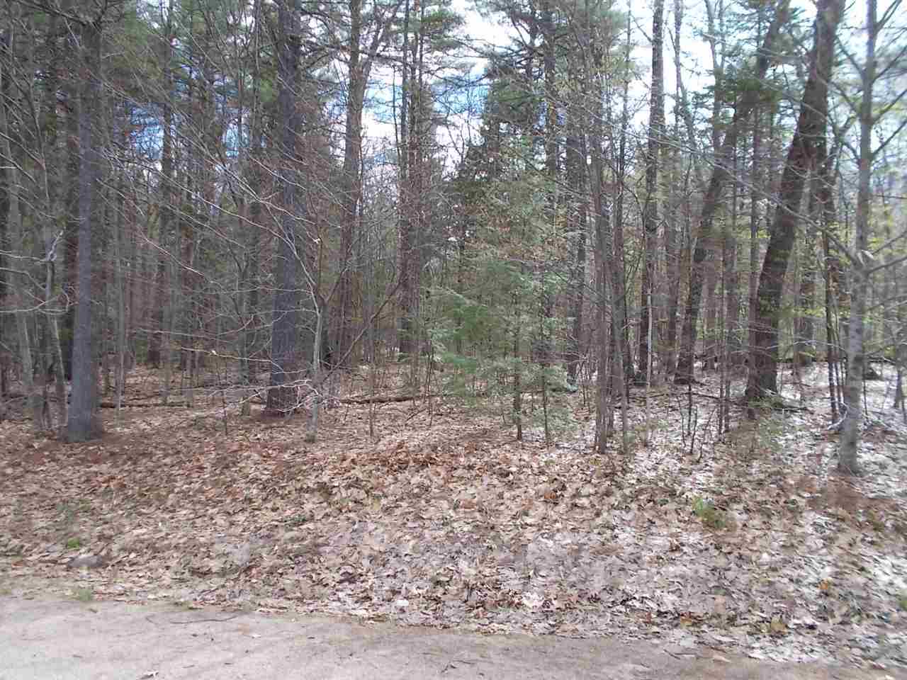 0 Hiram Philbrook Road, Conway, NH 03818