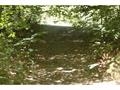 LOT 66 Castlerock Road, Barrington, NH 03825