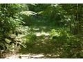 LOT 66 Castlerock Road, Barrington, NH 03825