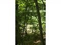 LOT 66 Castlerock Road, Barrington, NH 03825