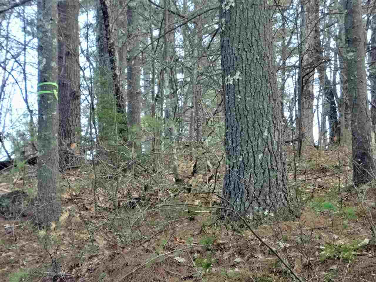 Lot 60 Long Shores Drive, Barrington, NH 03825