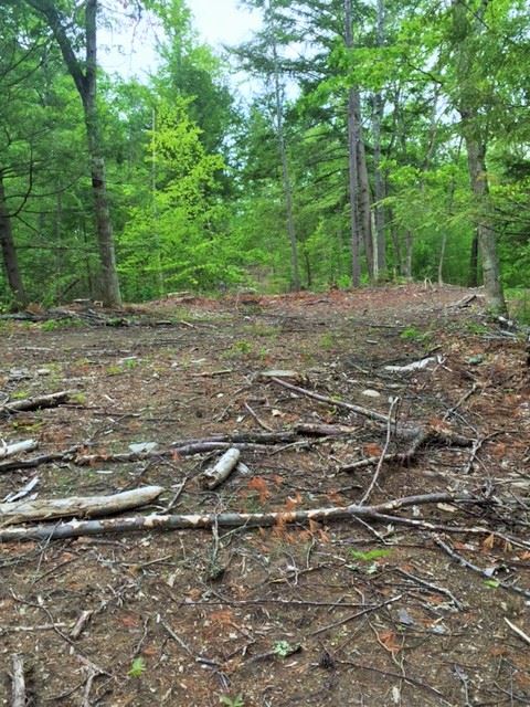 Lot 61 Long Shore Drive, Barrington, NH 03825