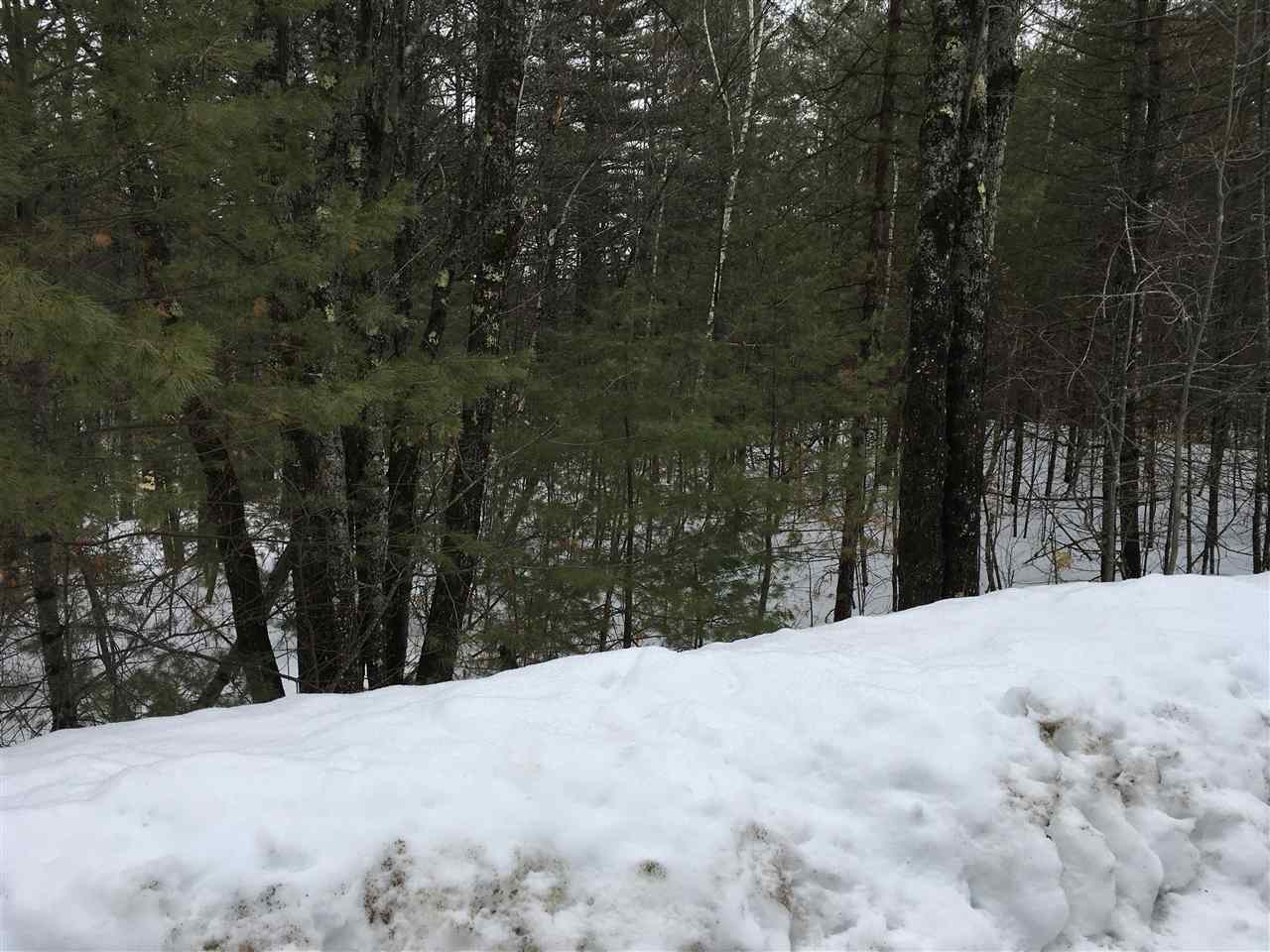 Wildwood Road, Wakefield, NH 03830