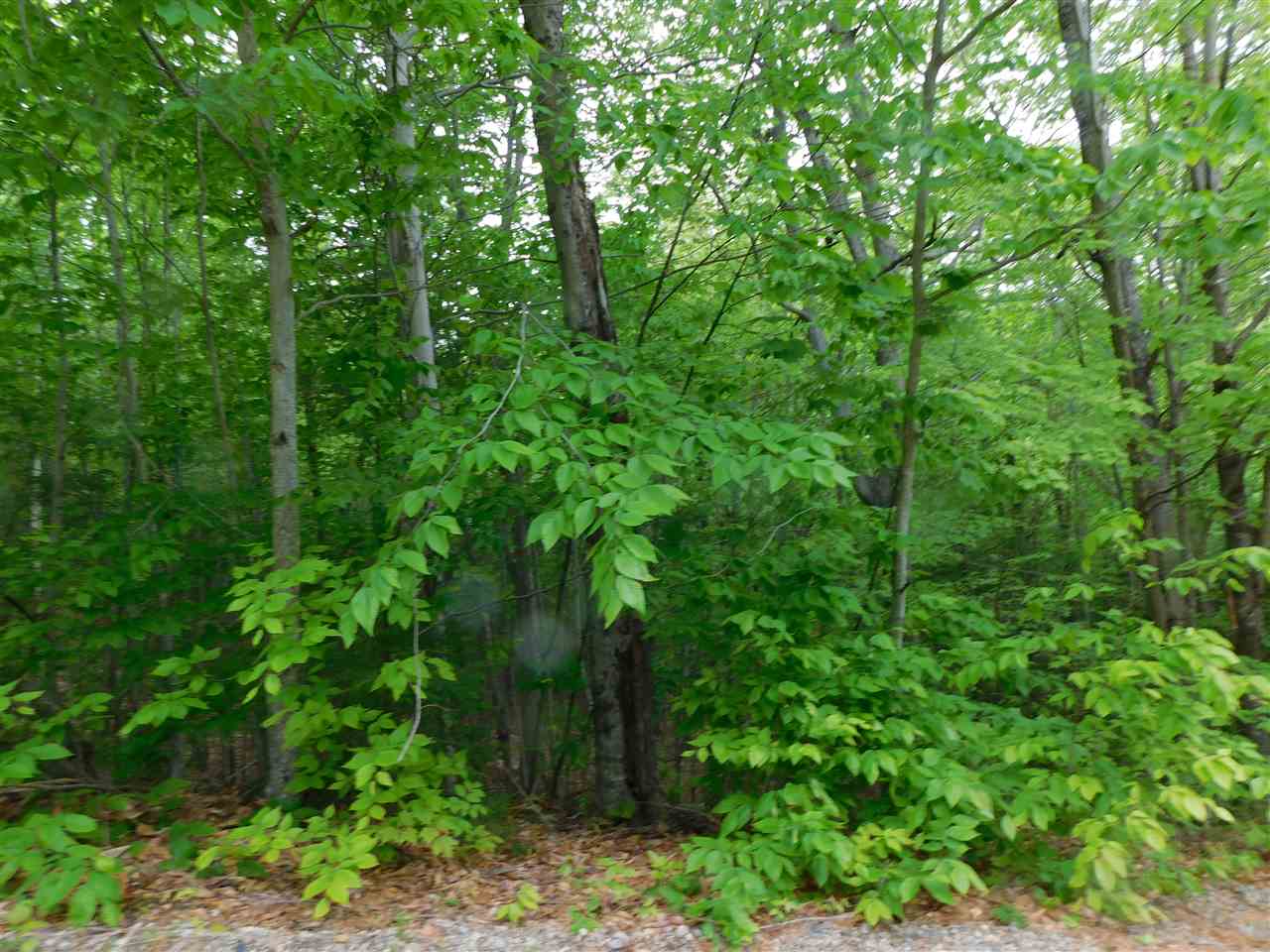 0 Scribner Brook Ext Road, Wakefield, NH 03830