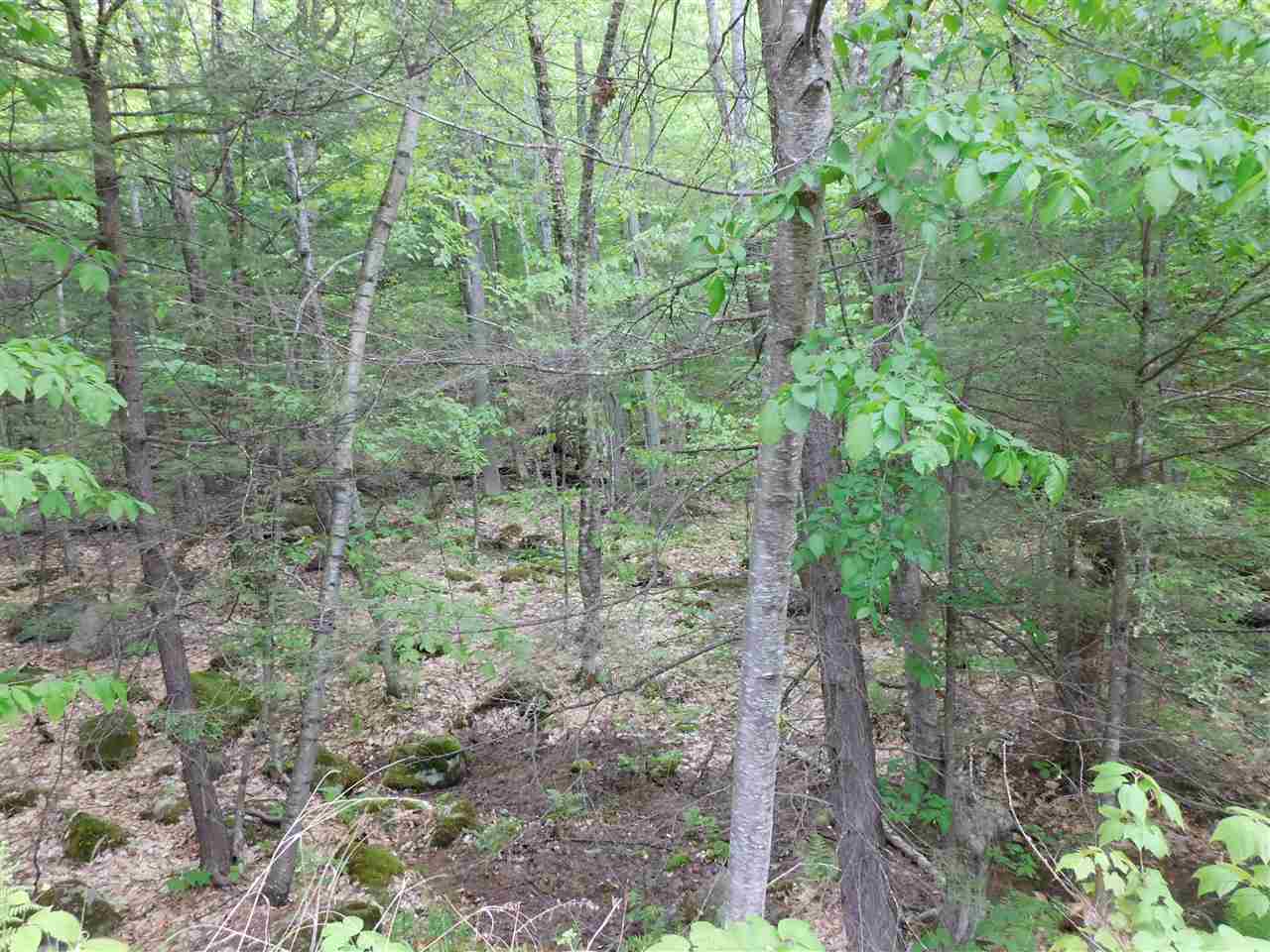 0 Scribner Brook Ext Road, Wakefield, NH 03830