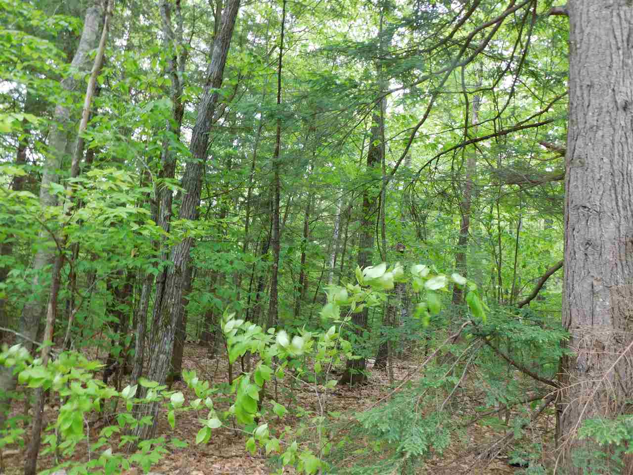0 Scribner Brook Ext Road, Wakefield, NH 03830