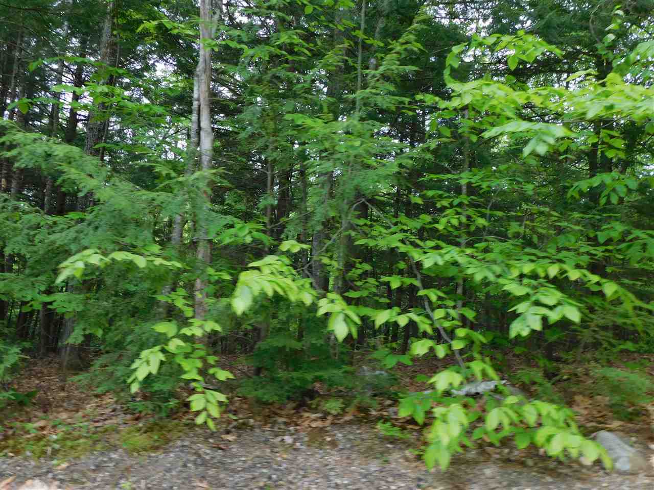 0 Scribner Brook Ext Road, Wakefield, NH 03830