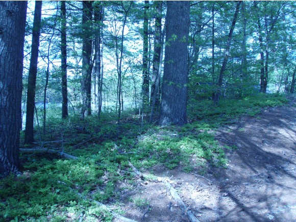 2775 Province Lake Road, Wakefield, NH 03830
