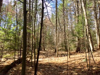 Lot 26 Ridge Road, Eaton, NH 03832