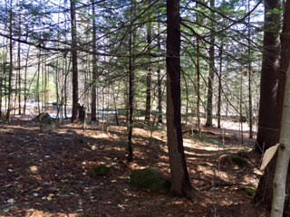 Lot 26 Ridge Road, Eaton, NH 03832