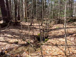 Lot 26 Ridge Road, Eaton, NH 03832