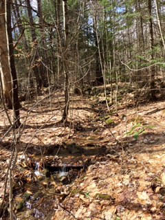 Lot 26 Ridge Road, Eaton, NH 03832