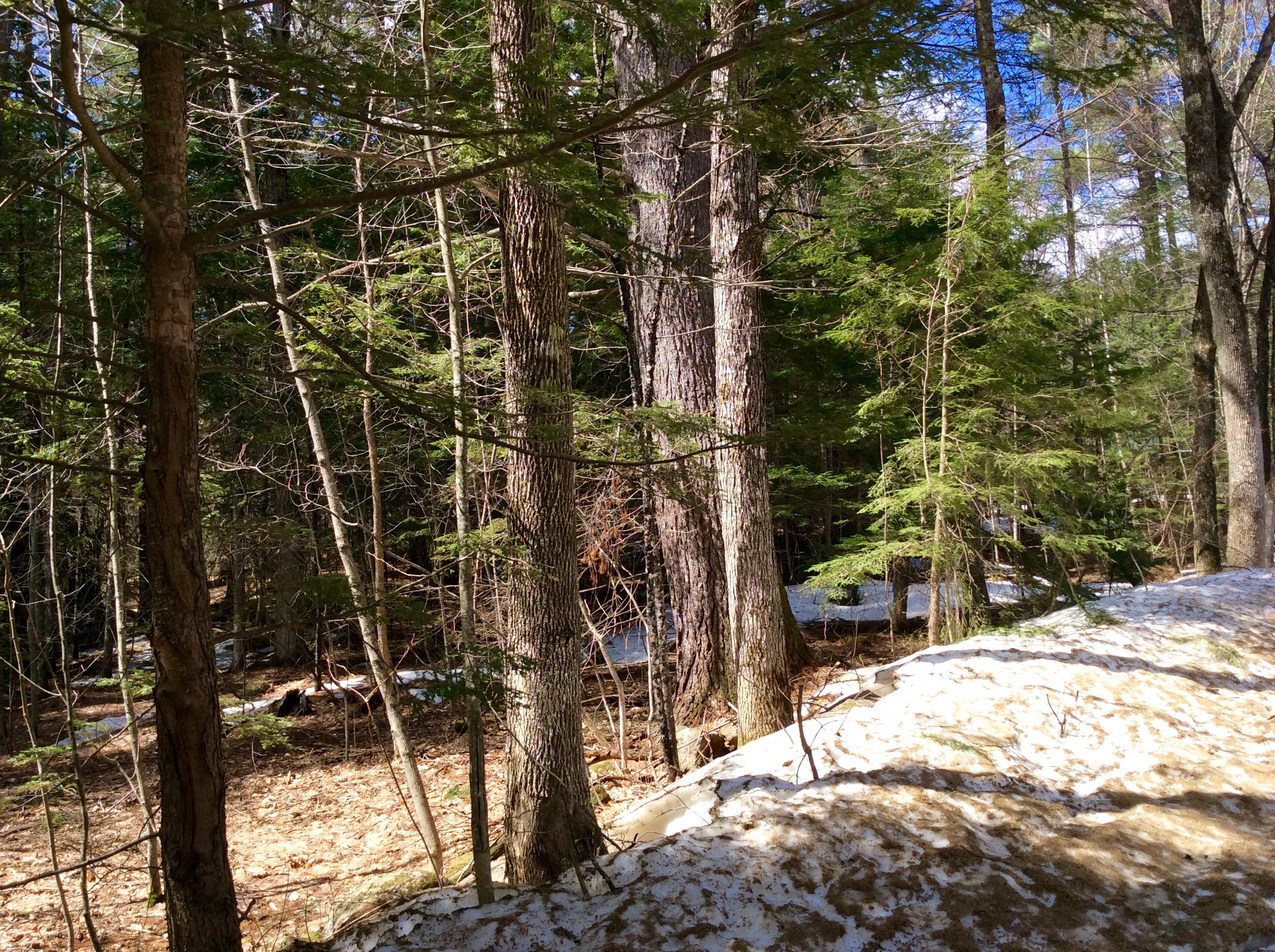 Lot 26 Ridge Road, Eaton, NH 03832