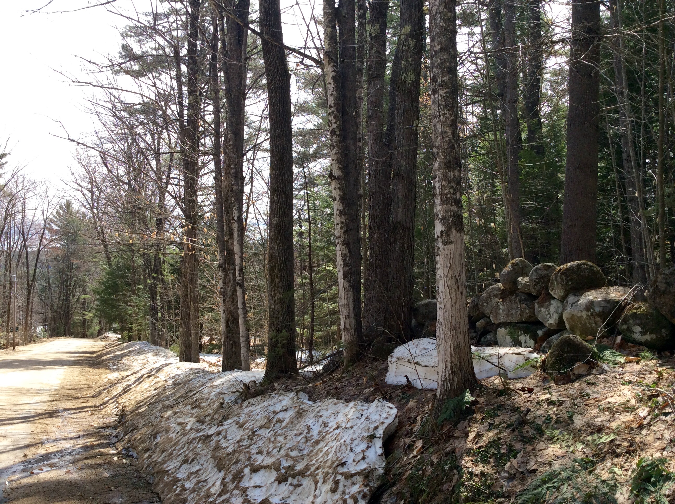 Lot 26 Ridge Road, Eaton, NH 03832