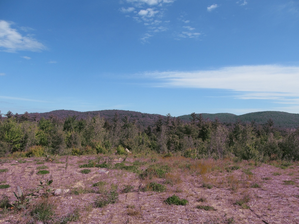 5 Thurston Road, Eaton, NH 03832