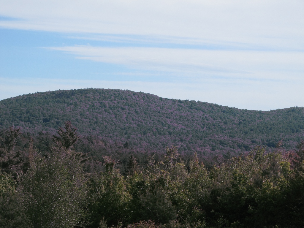 5 Thurston Road, Eaton, NH 03832