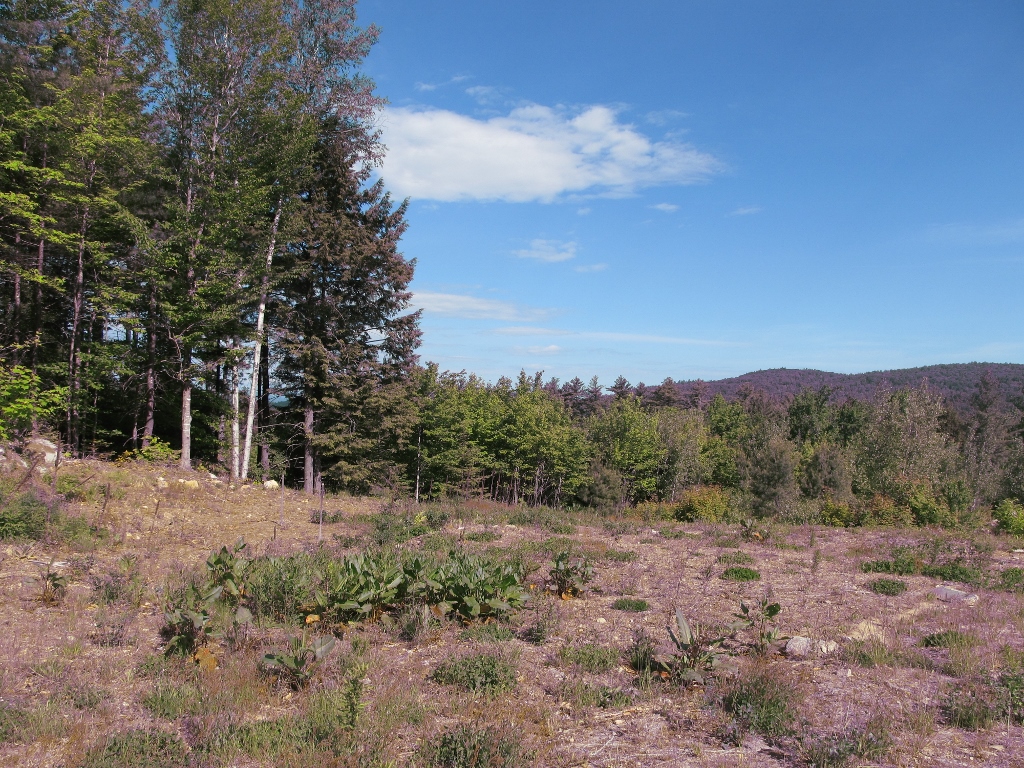 5 Thurston Road, Eaton, NH 03832