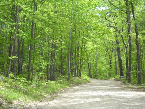 0 Packard Drive, Freedom, NH 03836