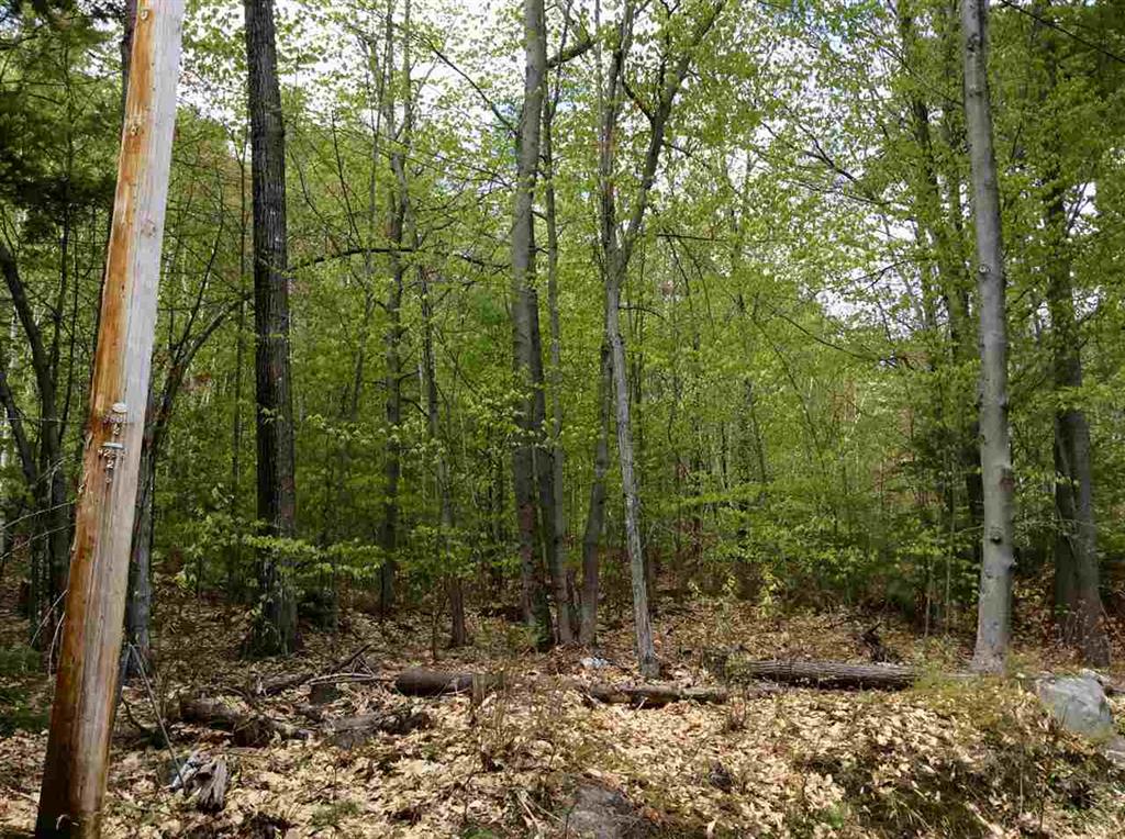 5 Biasca Place, Madison, NH 03849