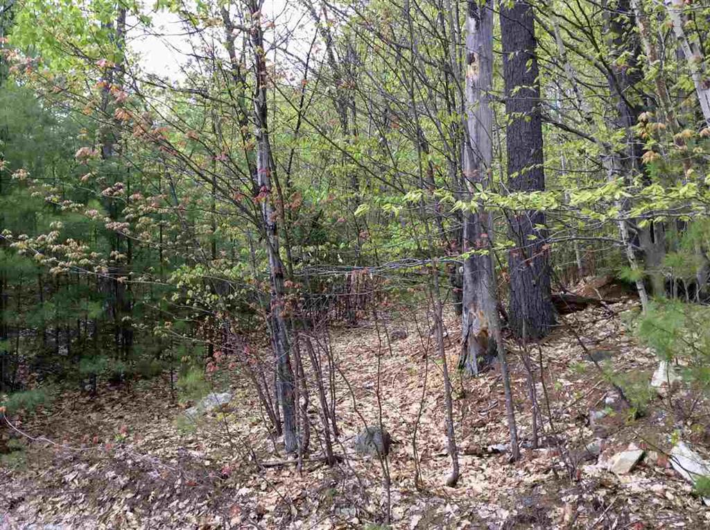 5 Biasca Place, Madison, NH 03849