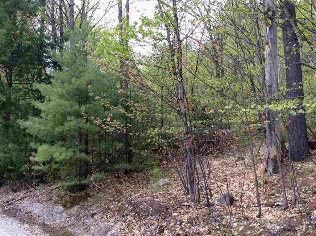 5 Biasca Place, Madison, NH 03849