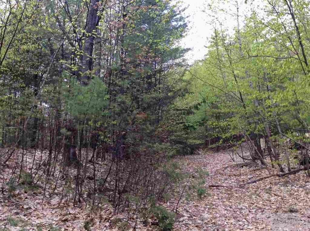 7 Biasca Place, Madison, NH 03849