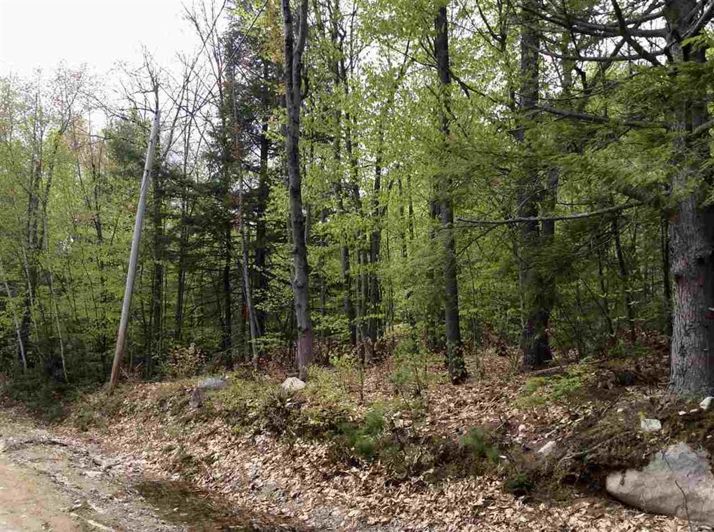 7 Biasca Place, Madison, NH 03849