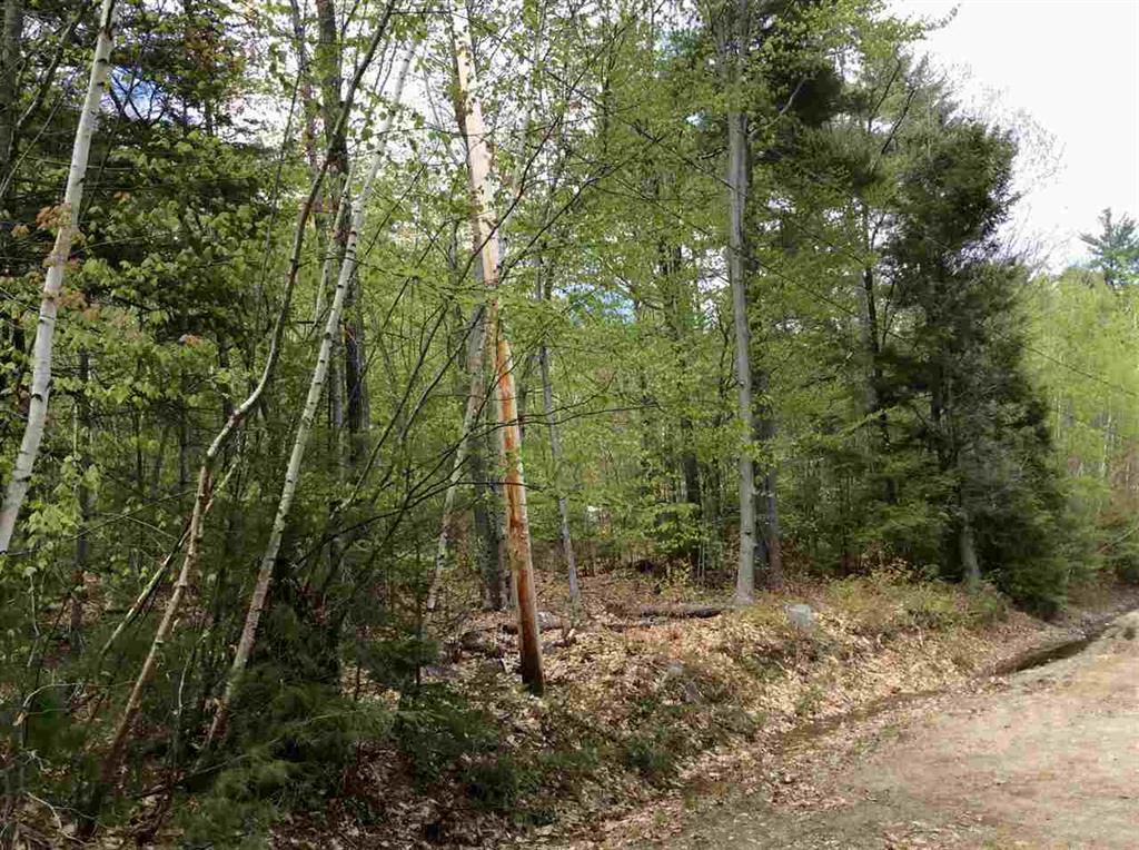 7 Biasca Place, Madison, NH 03849