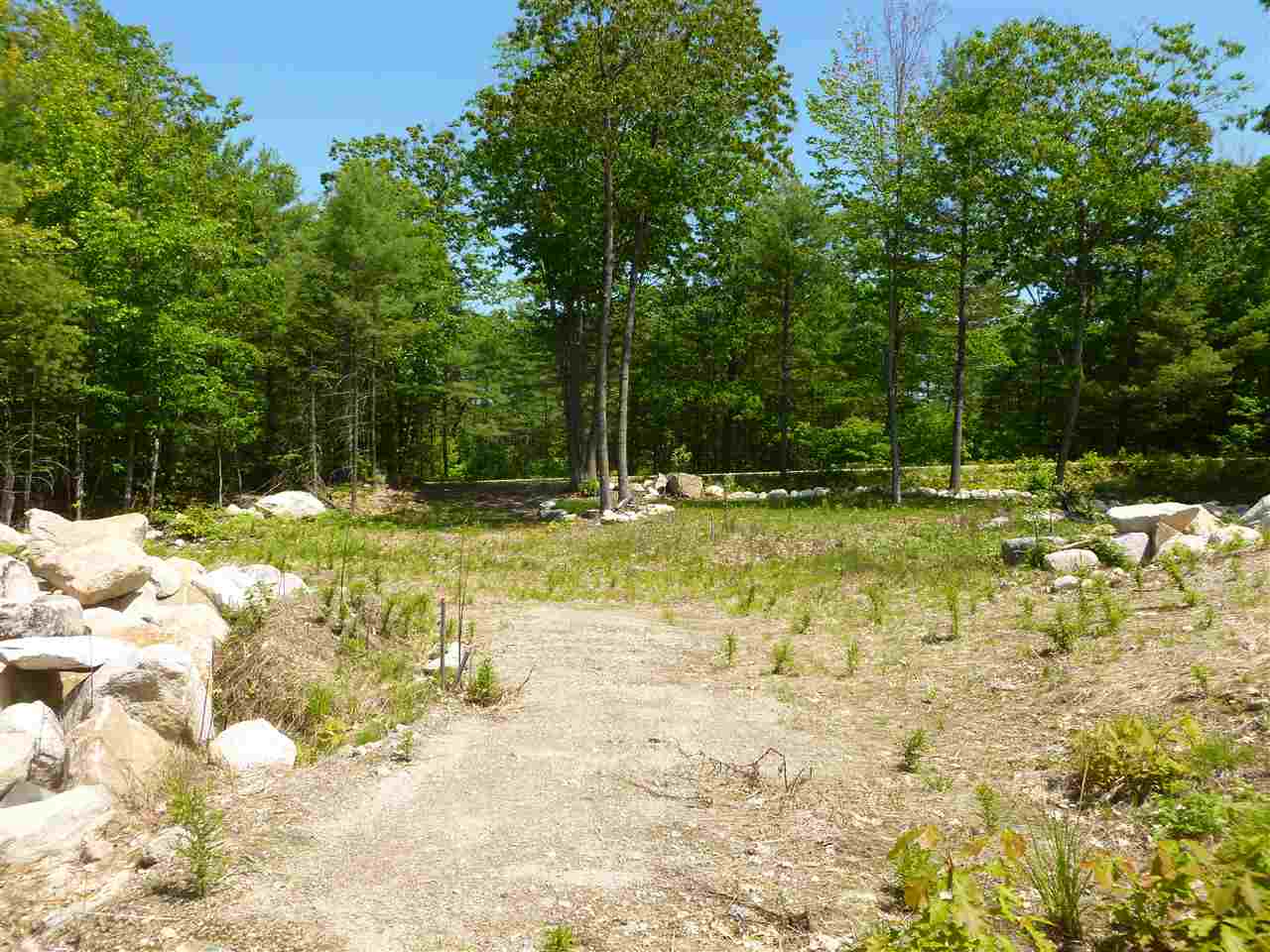 Map 229,Lot 28 Hedgehog Hill Road, Madison, NH 03849