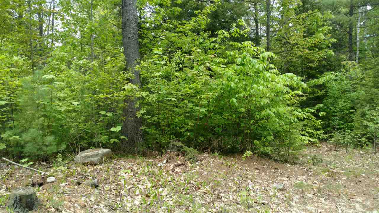 92 Thurley Road, Ossipee, NH 03864
