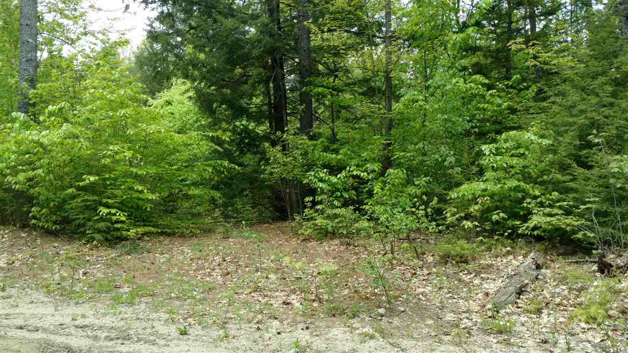 92 Thurley Road, Ossipee, NH 03864