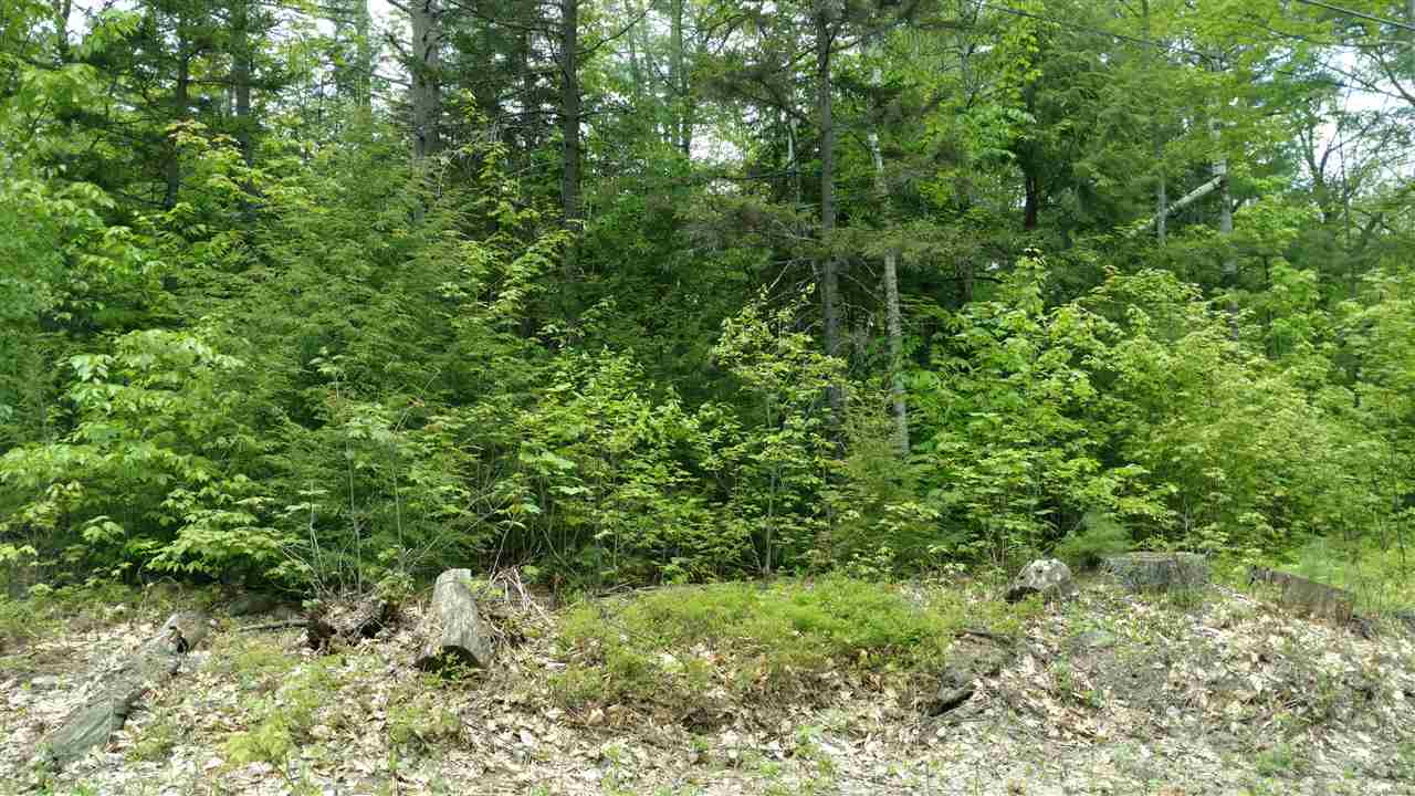 92 Thurley Road, Ossipee, NH 03864