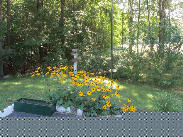 Tara Estates 55+ Active Adult Community7 York Ct.Rochester, NH 03868