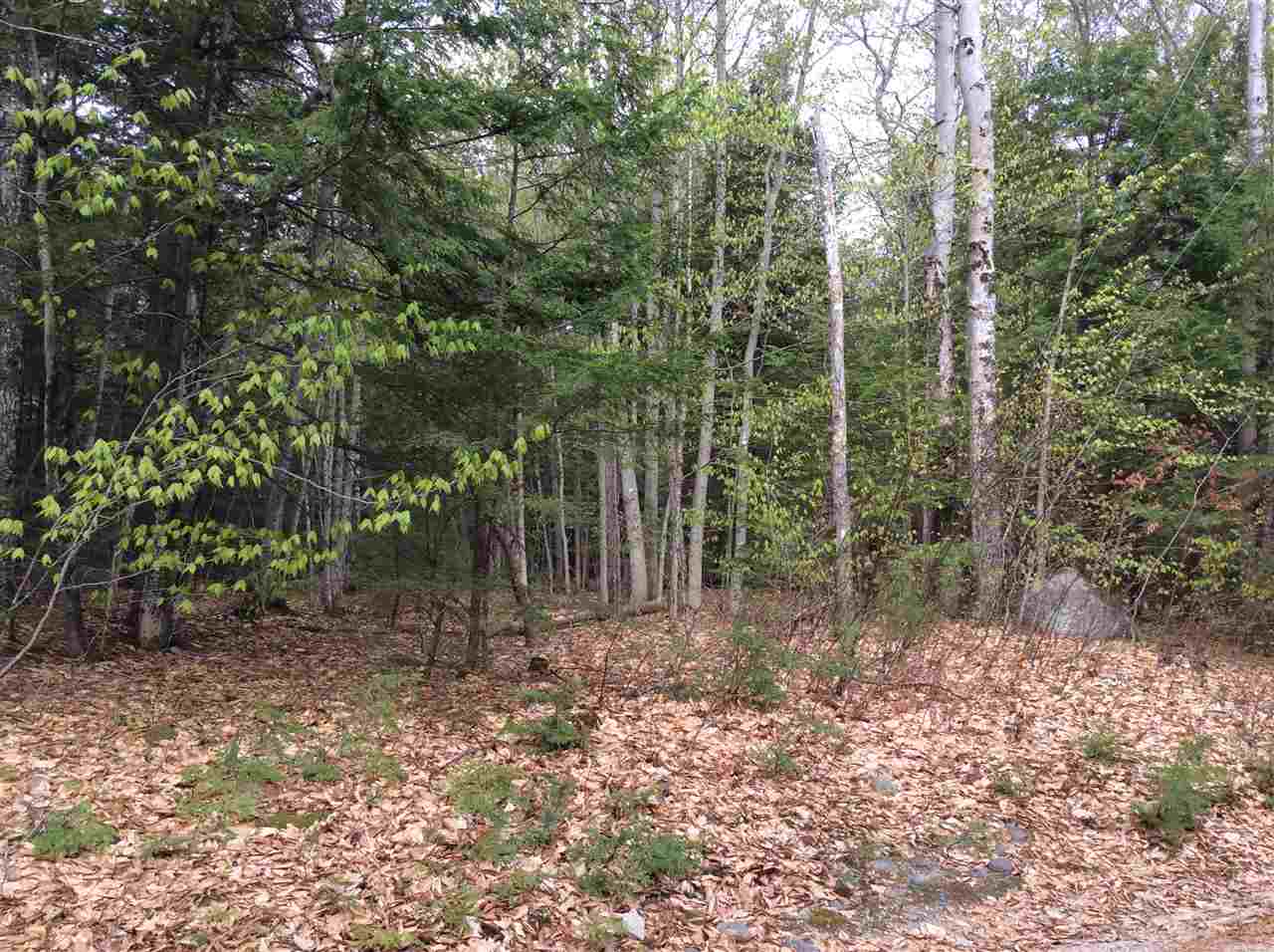 Lot 10 Scribner Hill Road, Wakefield, NH 03872