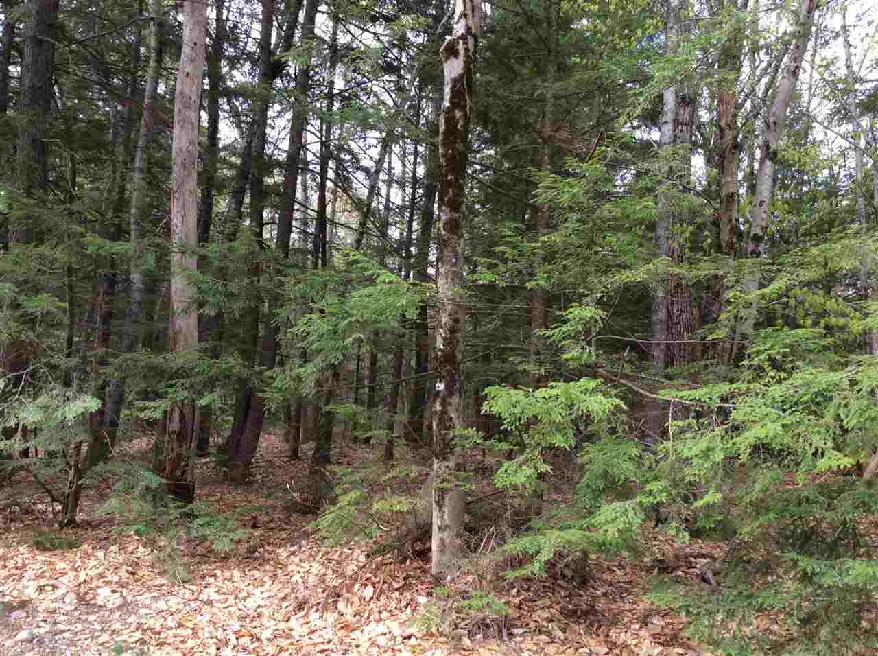 Lot 10 Scribner Hill Road, Wakefield, NH 03872