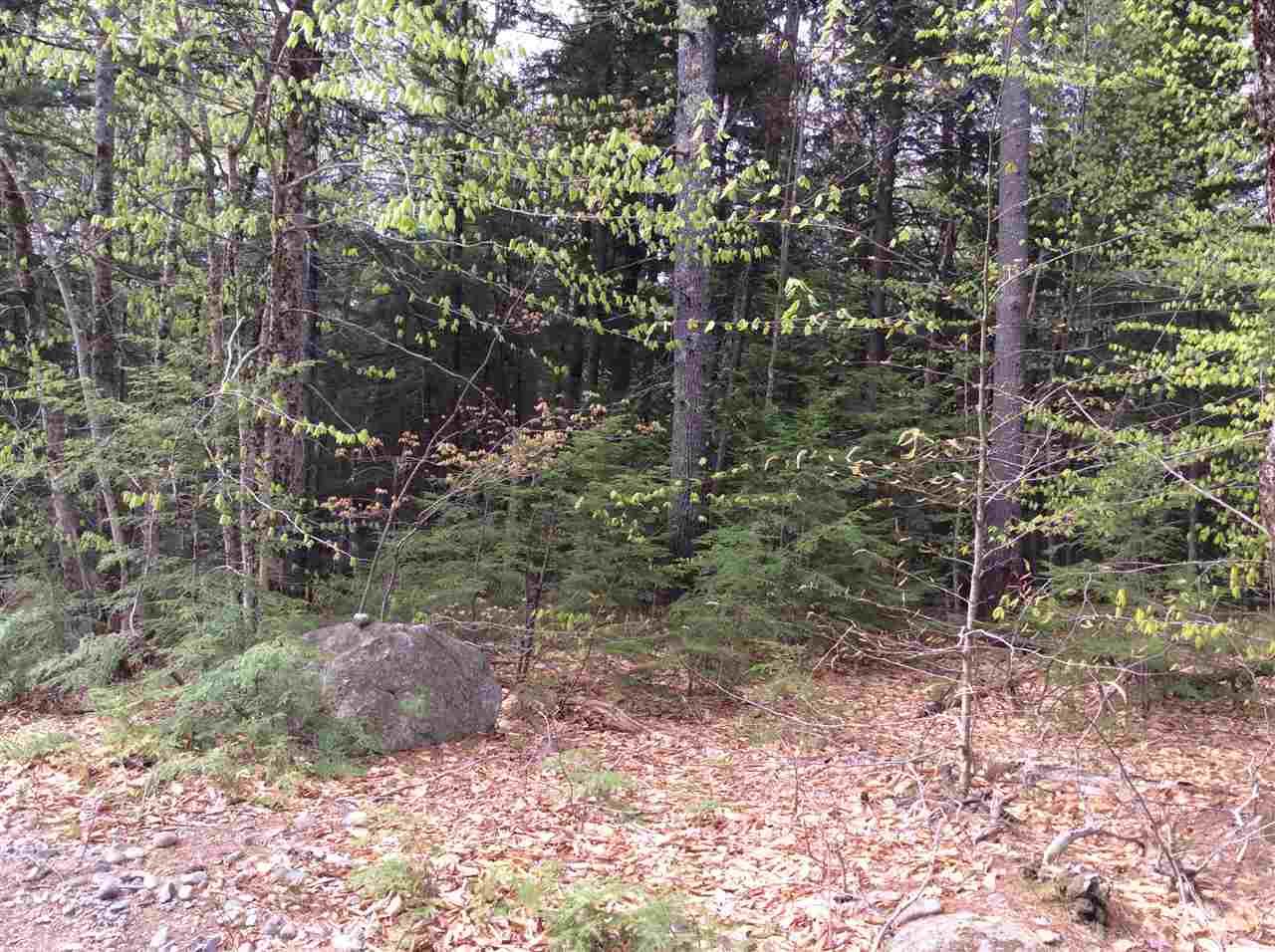 Lot 10 Scribner Hill Road, Wakefield, NH 03872