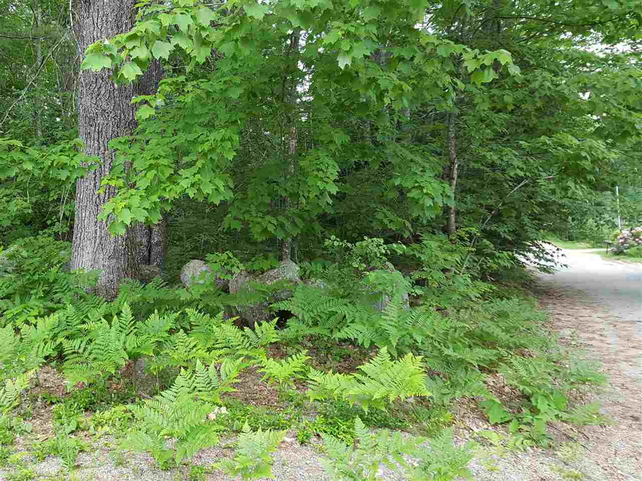 Lot 64 Iron Works Road, Effingham, NH 03882