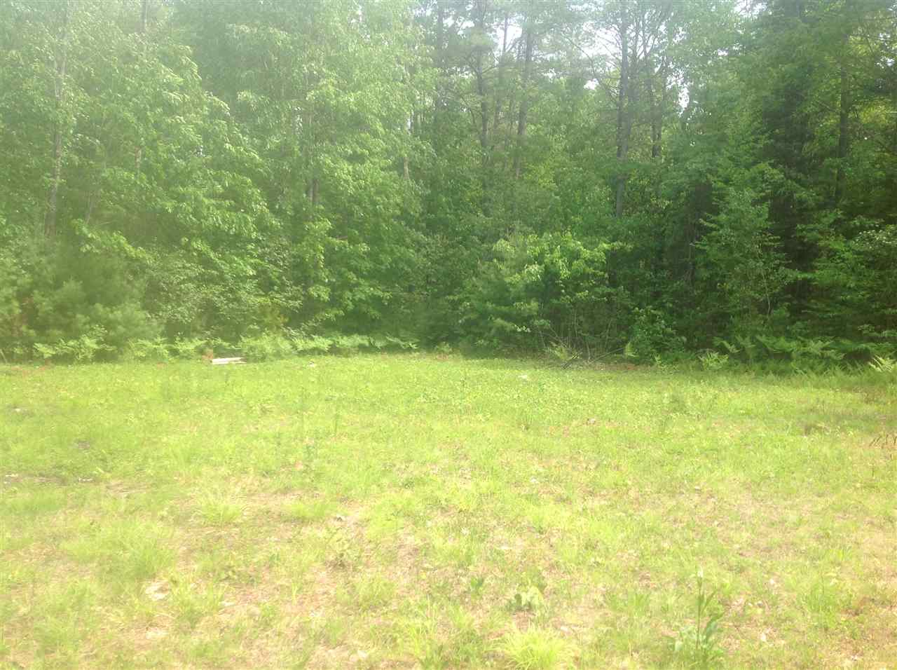 20 Pratt road Road, Effingham, NH 03882