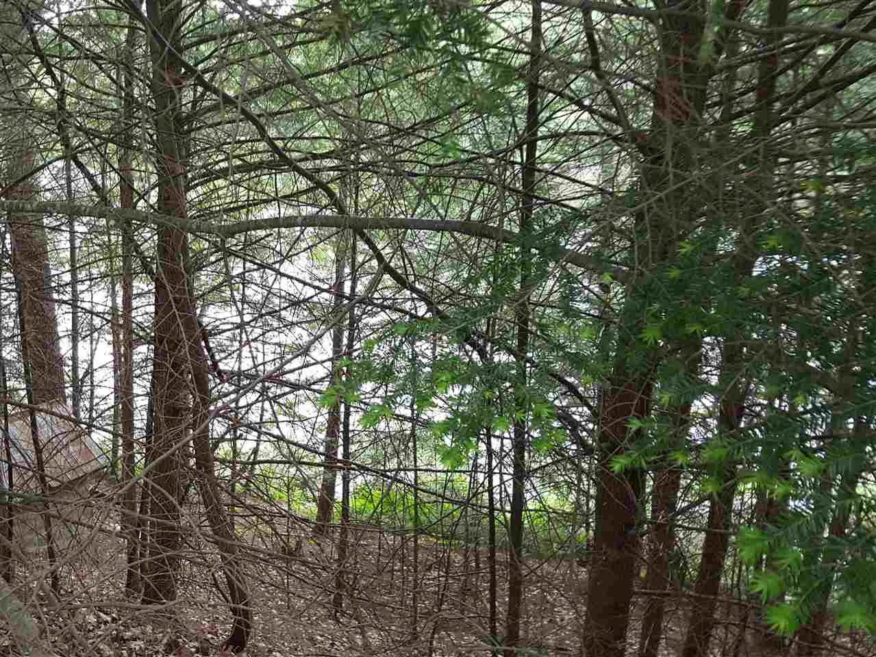 Lot 16 Iron Works Road, Effingham, NH 03882