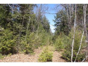 Lot 6 Green Mountain Road, Effingham, NH 03882