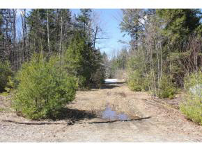 Lot 6 Green Mountain Road, Effingham, NH 03882