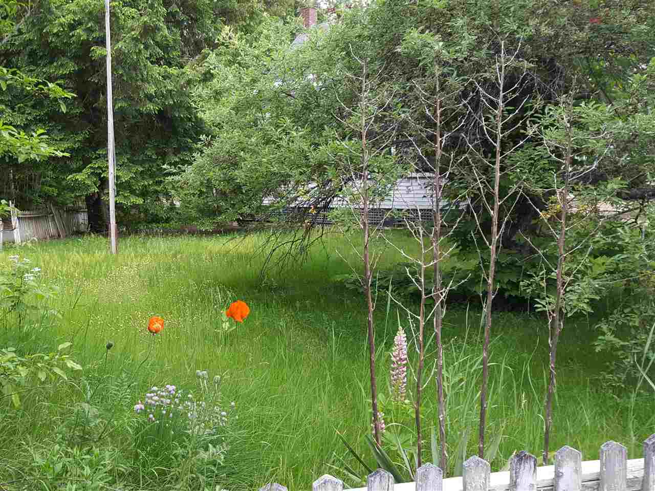 51 Iron Works Road, Effingham, NH 03882